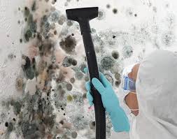 Best Mold Odor Removal Services  in Lake Wylie, SC